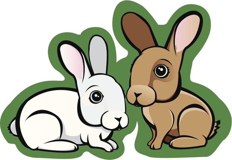 2023属兔人全年运势(顺风顺水财运亨通)