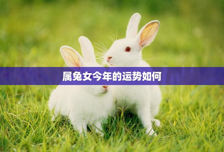 属兔女今年的运势如何(详解2023属兔女的财运、感情和健康状况)