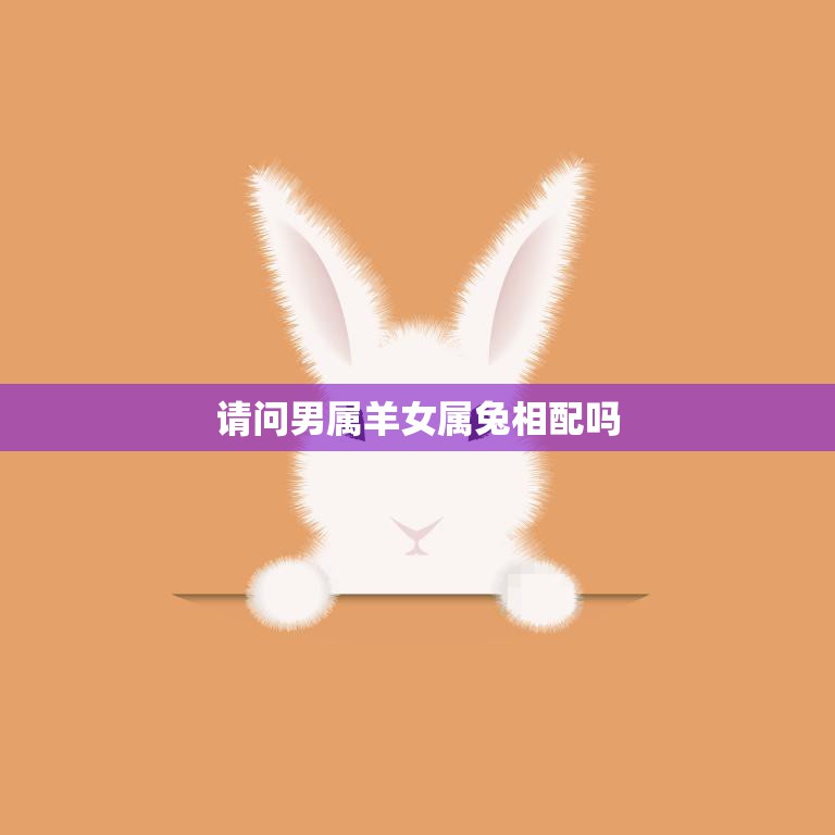 请问男属羊女属兔相配吗(羊兔配对指南)