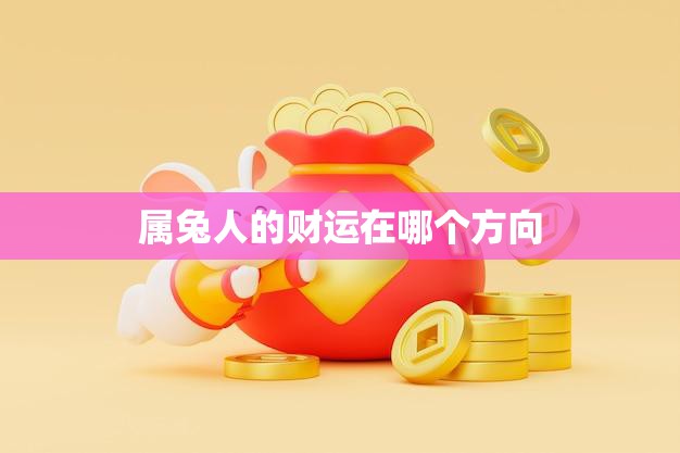 属兔人的财运在哪个方向(探究财富之门在何处)