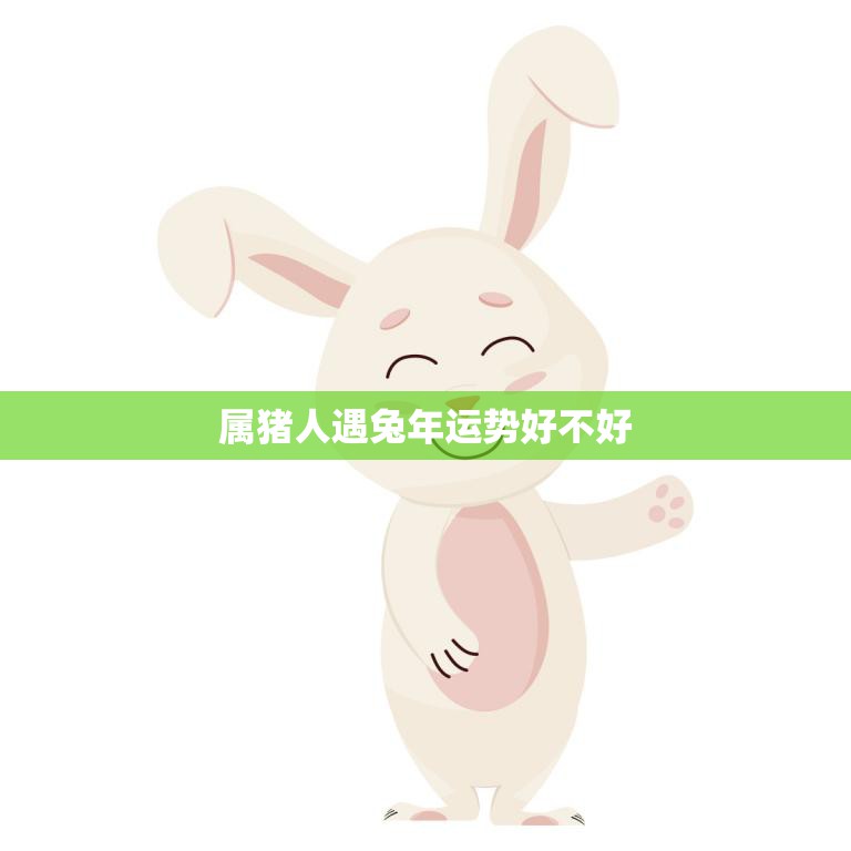 属猪人遇兔年运势好不好(2023年猪人运势大揭秘)
