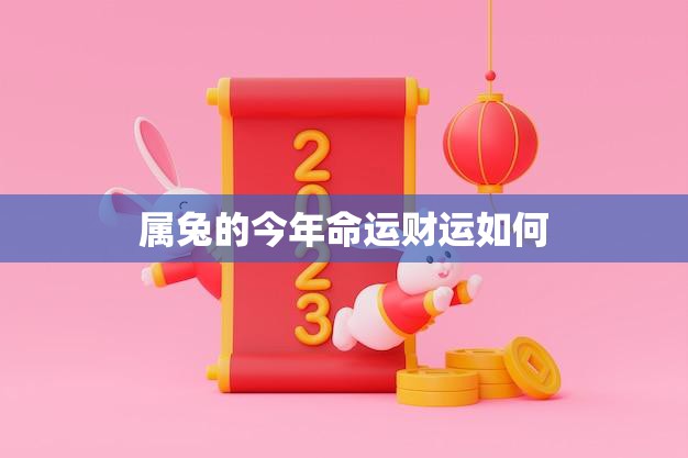 属兔的今年命运财运如何(2023年兔子运势大揭秘)