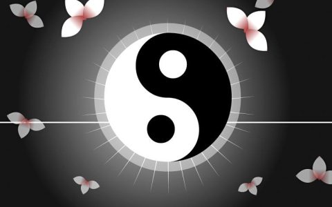 什么是火象星座和水象星座(解析性格特点和星座组合)