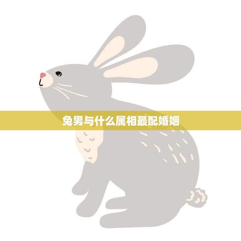 兔男与什么属相最配婚姻(完美匹配的星座组合)