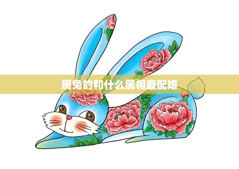 属兔的和什么属相最配婚(最佳配对属相大揭秘)