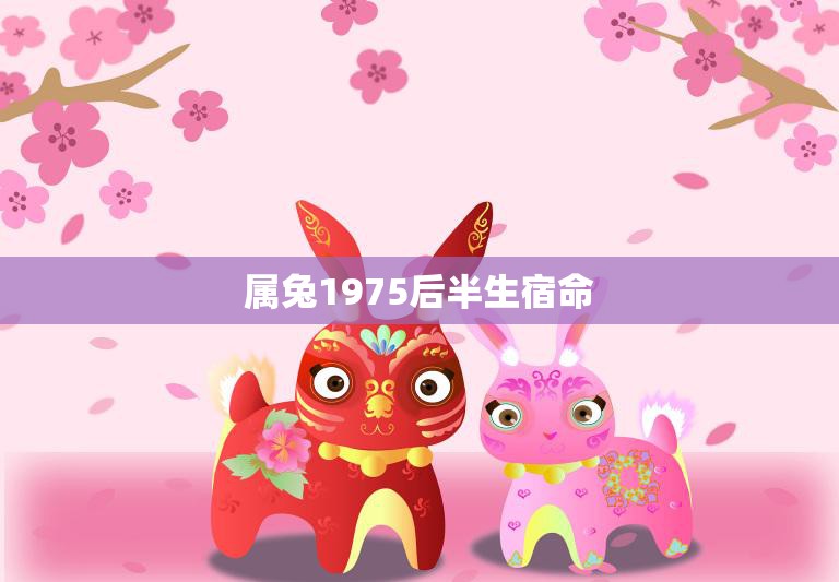 属兔1975后半生宿命(如何化解)