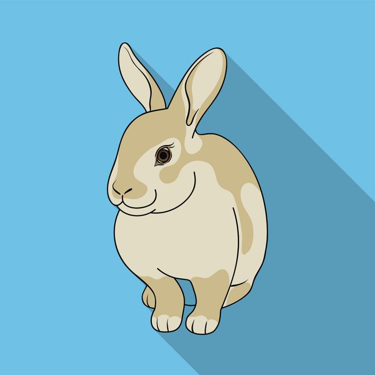 属兔人适合做什么生意好(探究兔年生肖如何创业)