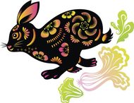 属兔人的财运在哪个方向(探究财富之门在何处)