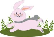 属兔的年份分别是哪些年(兔年生肖你知道自己属于哪一年吗)