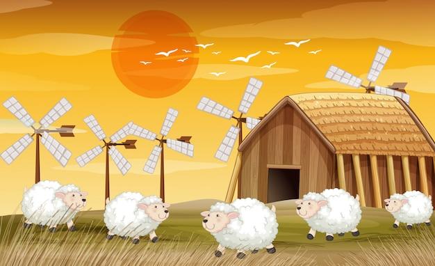 白羊的星盘排列顺序是什么(如何解读白羊座的星盘)