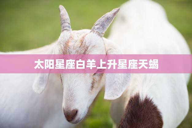 太阳星座白羊上升星座天蝎(火与水的完美结合)