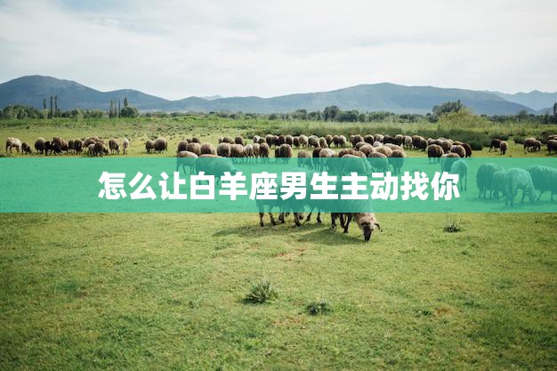 怎么让白羊座男生主动找你(5个小技巧让你成为他的焦点)