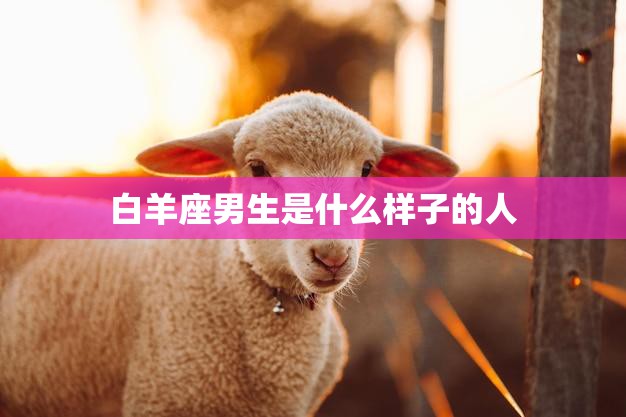 白羊座男生是什么样子的人(性格特点揭秘)