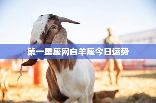 第一星座网白羊座今日运势(好运连连财运亨通)