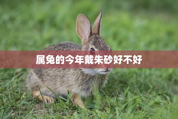 属兔的今年戴朱砂好不好(解析朱砂的作用与禁忌)