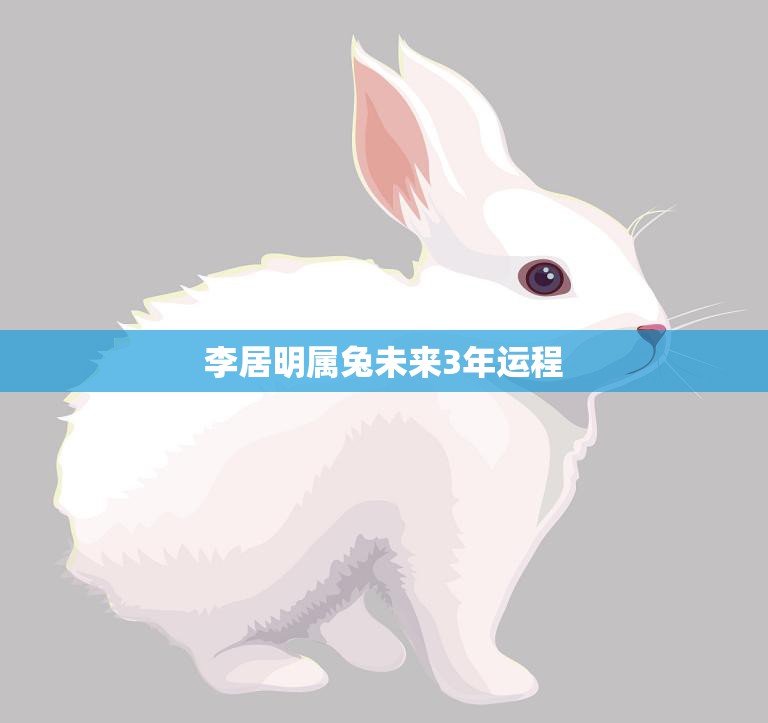 李居明属兔未来3年运程(运势大揭秘)