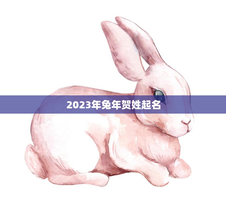 2023年兔年贺姓起名(如何给宝宝取一个吉祥美好的名字)