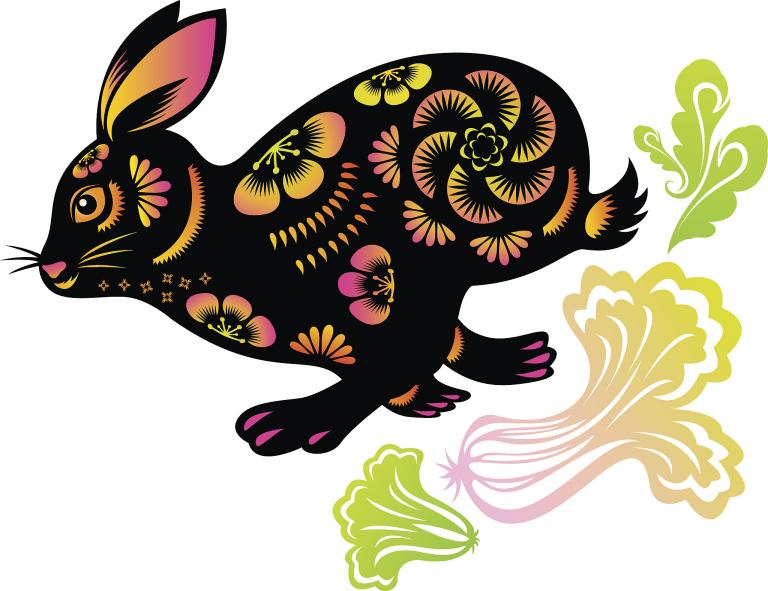 2023年属兔女孩姓高(高姓小兔子未来的幸福生活)