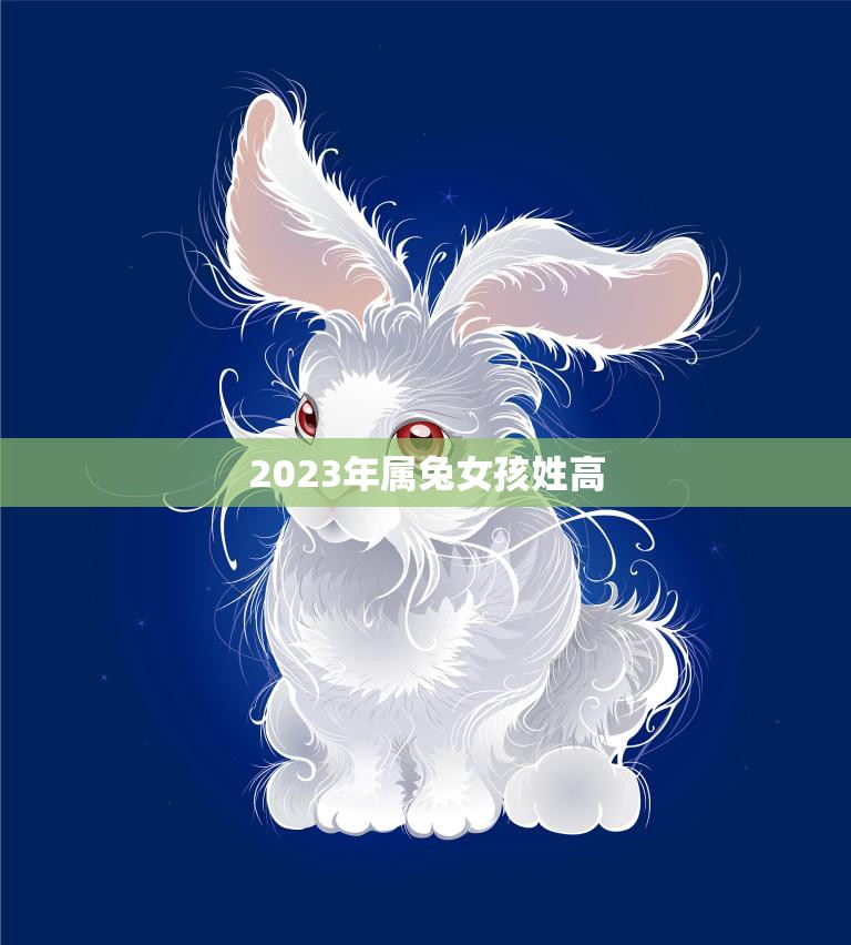 2023年属兔女孩姓高(高姓小兔子未来的幸福生活)