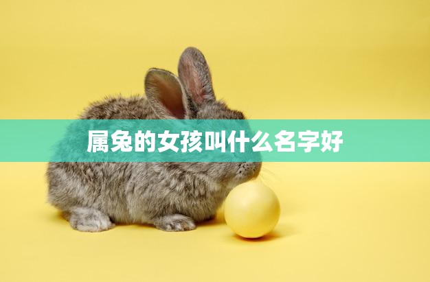 属兔的女孩叫什么名字好(如何选择适合的名字)