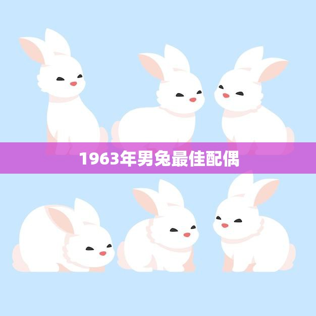 1963年男兔最佳配偶(如何选择最适合的伴侣)