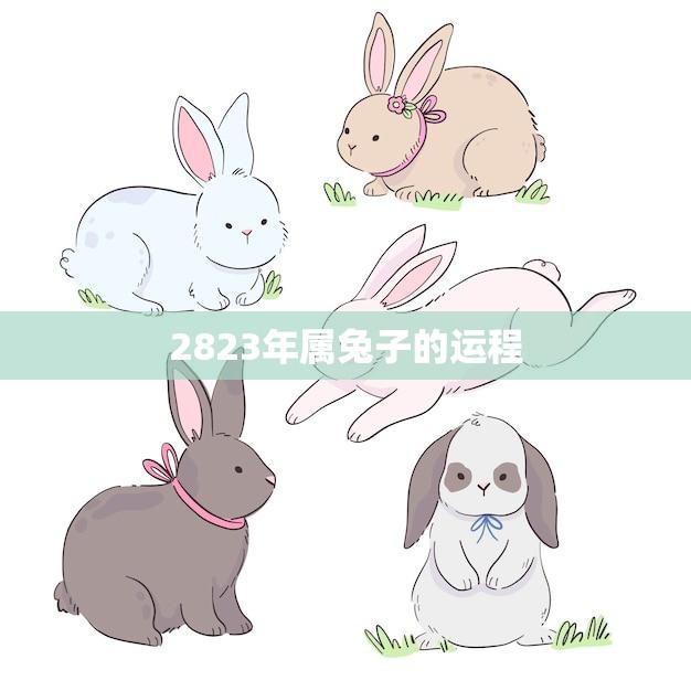 2823年属兔子的运程(顺风顺水财运亨通)