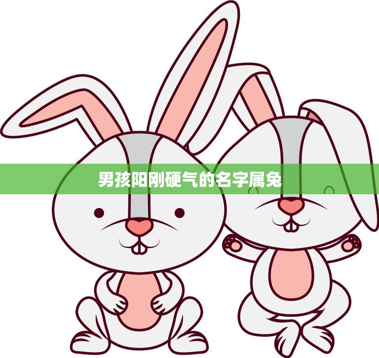 男孩阳刚硬气的名字属兔(霸气名字推荐)