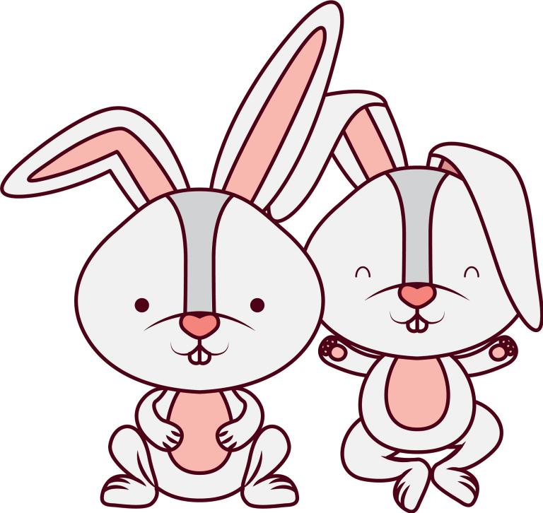 属兔的今年婚姻状况如何(2023年属兔人的婚姻运势解析)