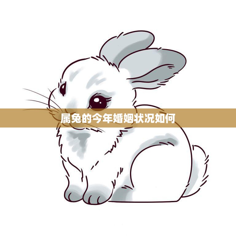 属兔的今年婚姻状况如何(2023年属兔人的婚姻运势解析)