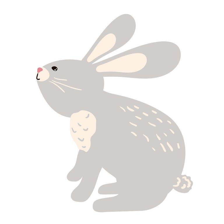 属兔的人适合做什么生意(探究创意行业的机会)