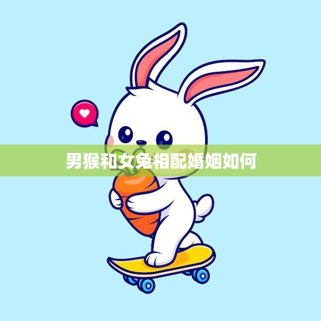 男猴和女兔相配婚姻如何(幸福的秘诀)