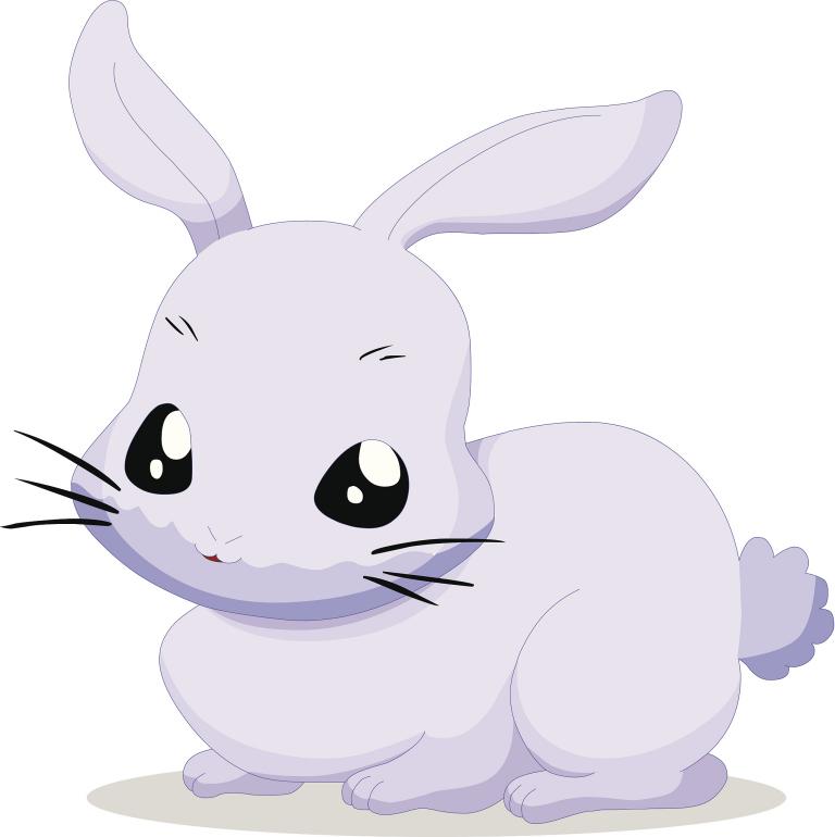 87年兔的婚姻最佳配偶(如何选择)