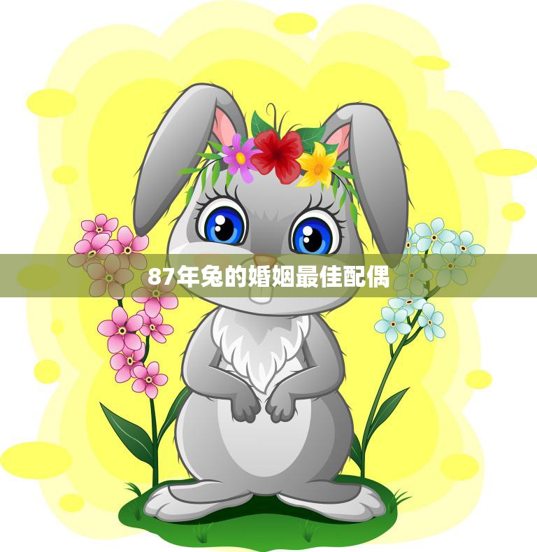 87年兔的婚姻最佳配偶(如何选择)