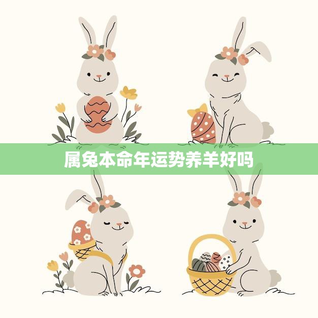 属兔本命年运势养羊好吗(如何选择适合自己的生肖属相)