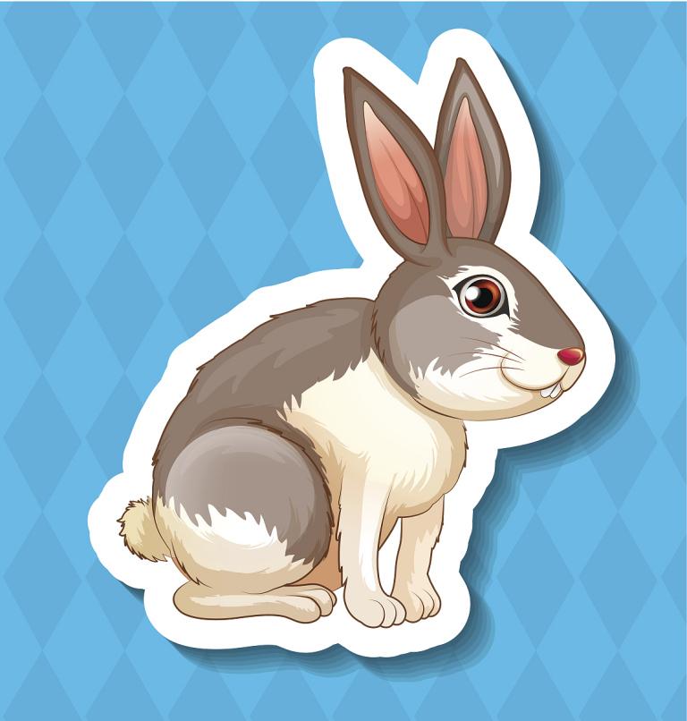 属兔女与猪男在床上怎样(技巧大揭秘)