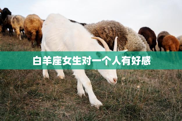 白羊座女生对一个人有好感(如何表现)