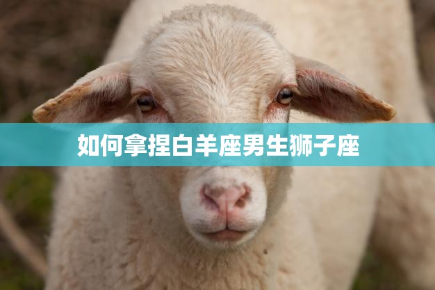 如何拿捏白羊座男生狮子座(成功驾驭两大星座男神的秘诀)