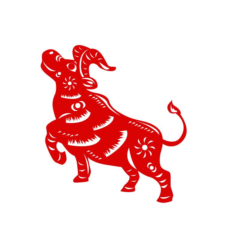 金牛女生喜欢什么生日礼物(最全攻略)