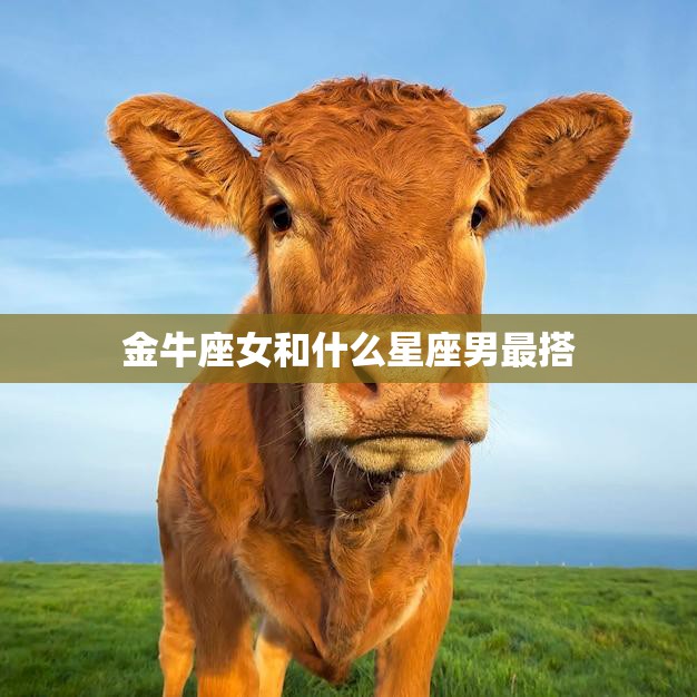 金牛座女和什么星座男最搭(星座专家揭秘最佳配对)