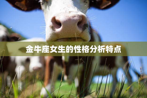 金牛座女生的性格分析特点(稳健踏实追求安定幸福)