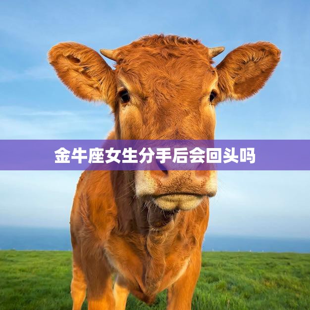 金牛座女生分手后会回头吗(解密金牛座女生的复合心理)