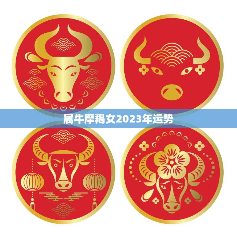 属牛摩羯女2023年运势(事业顺风顺水感情有波折)