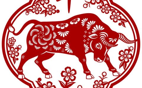 射手男一旦爱上金牛女夫妻(如何克服星座差异)