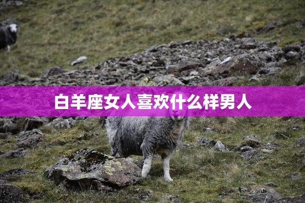 白羊座女人喜欢什么样男人(探秘性格、外貌、才华哪个更重要)
