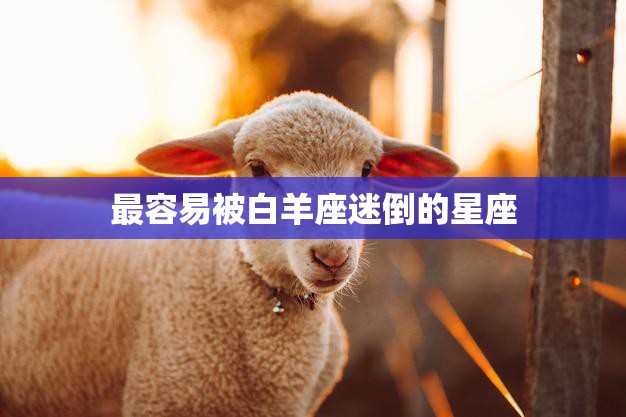 最容易被白羊座迷倒的星座(哪些星座会被白羊座的热情所吸引)