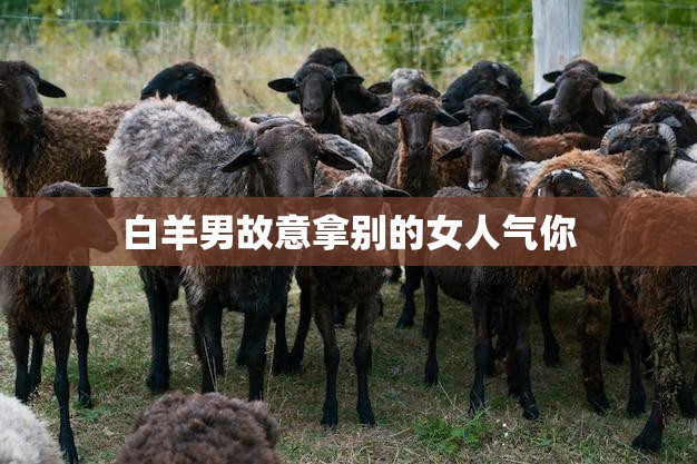 白羊男故意拿别的女人气你(如何应对)