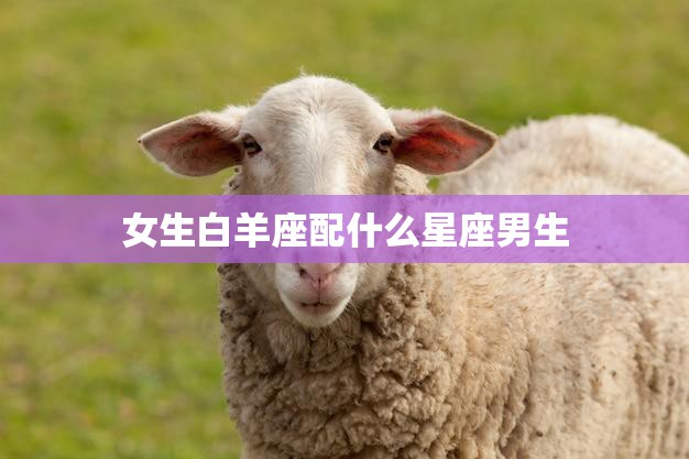 女生白羊座配什么星座男生(最佳星座组合大揭秘)