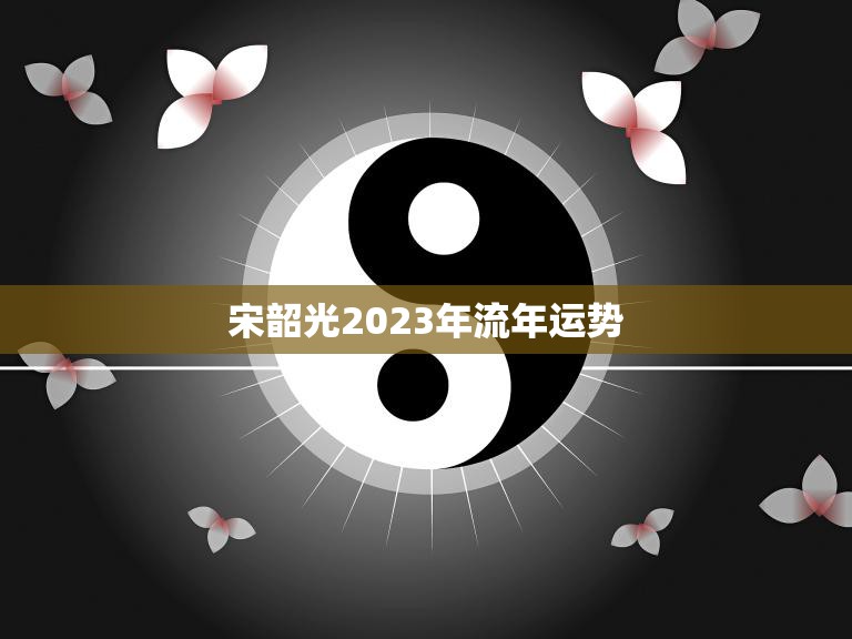 宋韶光2023年流年运势(大展宏图财运亨通)