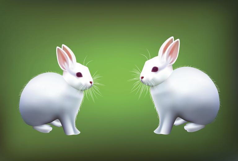 属兔双鱼座2023年运势(好运连连财源滚滚)