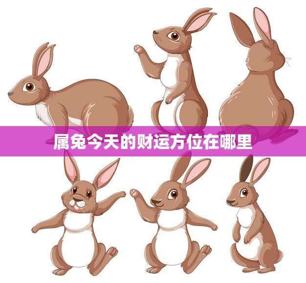 属兔今天的财运方位在哪里(揭秘兔子今日财运大势)